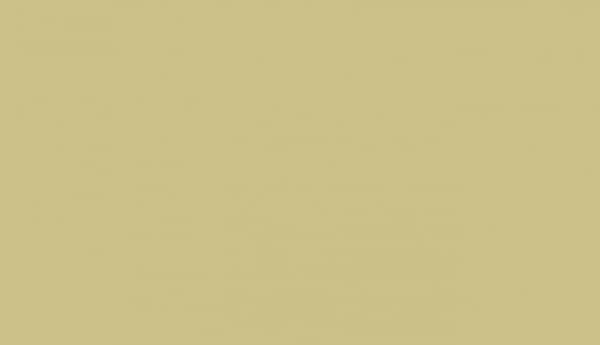 Matte Lacquer Green Beige RAL 1000 finish swatch