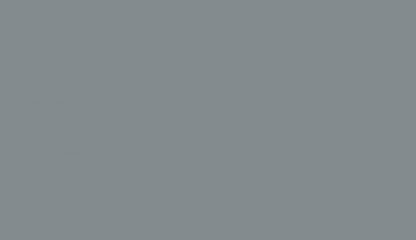 Matte Lacquer Telegrey 2 RAL 7046 finish swatch